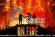 On.Fire .2023 LKsubz.com